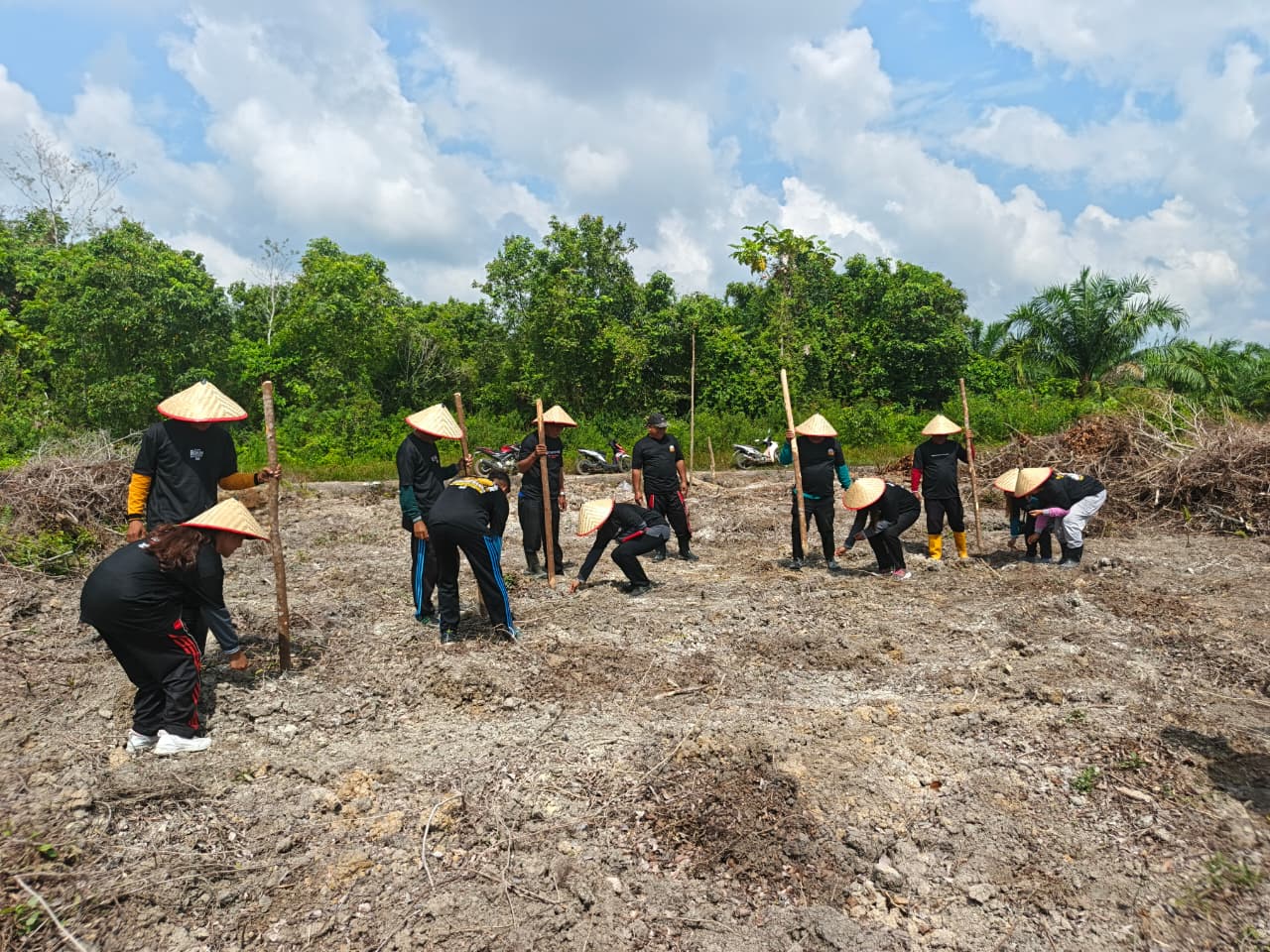 Penanaman jagung Pangan